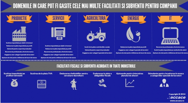 Facilitati si subventii de care beneficiaza companiile din Romania | Infografic